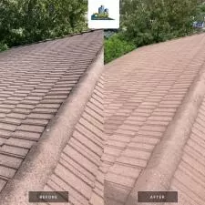 Cover nettoyage de toit lorraine